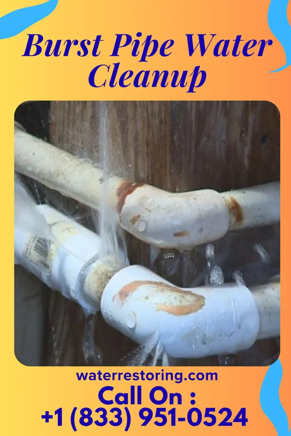 Burst Pipe Water Cleanup in Shippensburg University, PA