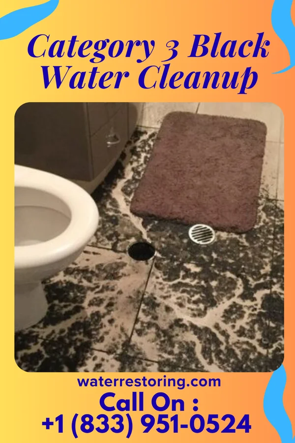 Category 3 Black Water Cleanup in Shippensburg University, PA