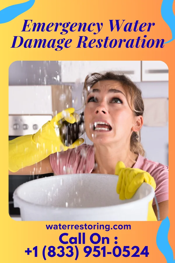 Emergency Water Damage Restoration in Shippensburg University, PA
