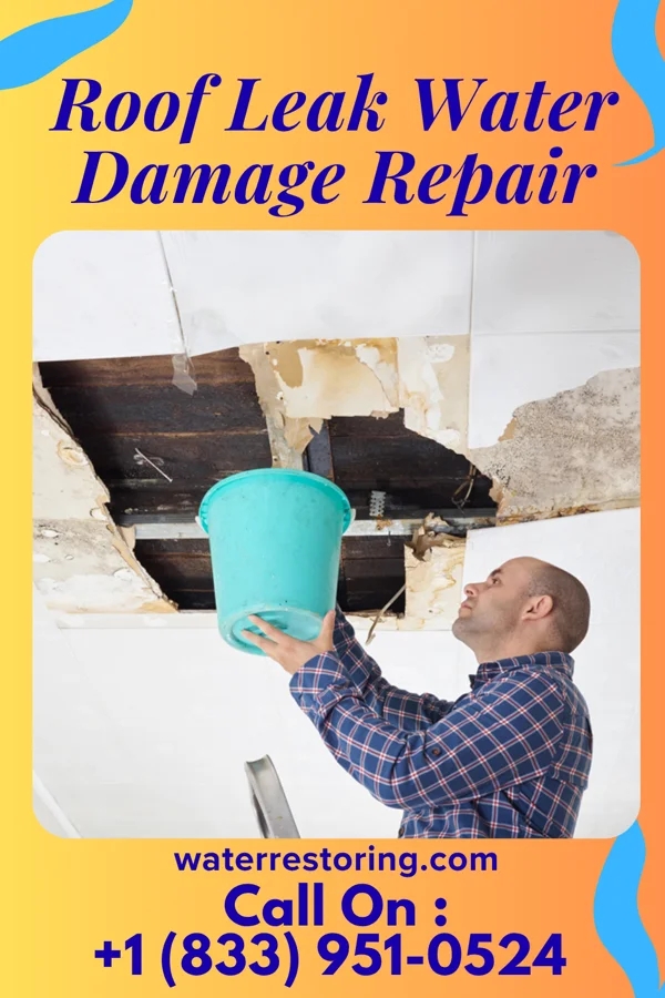 Roof Leak Water Damage Repair in Shippensburg University, PA