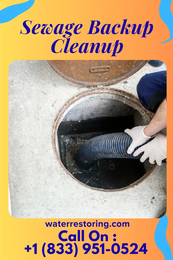 Sewage Backup Cleanup in Shippensburg University, PA