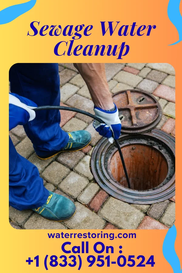 Sewage Water Cleanup in Shippensburg University, PA